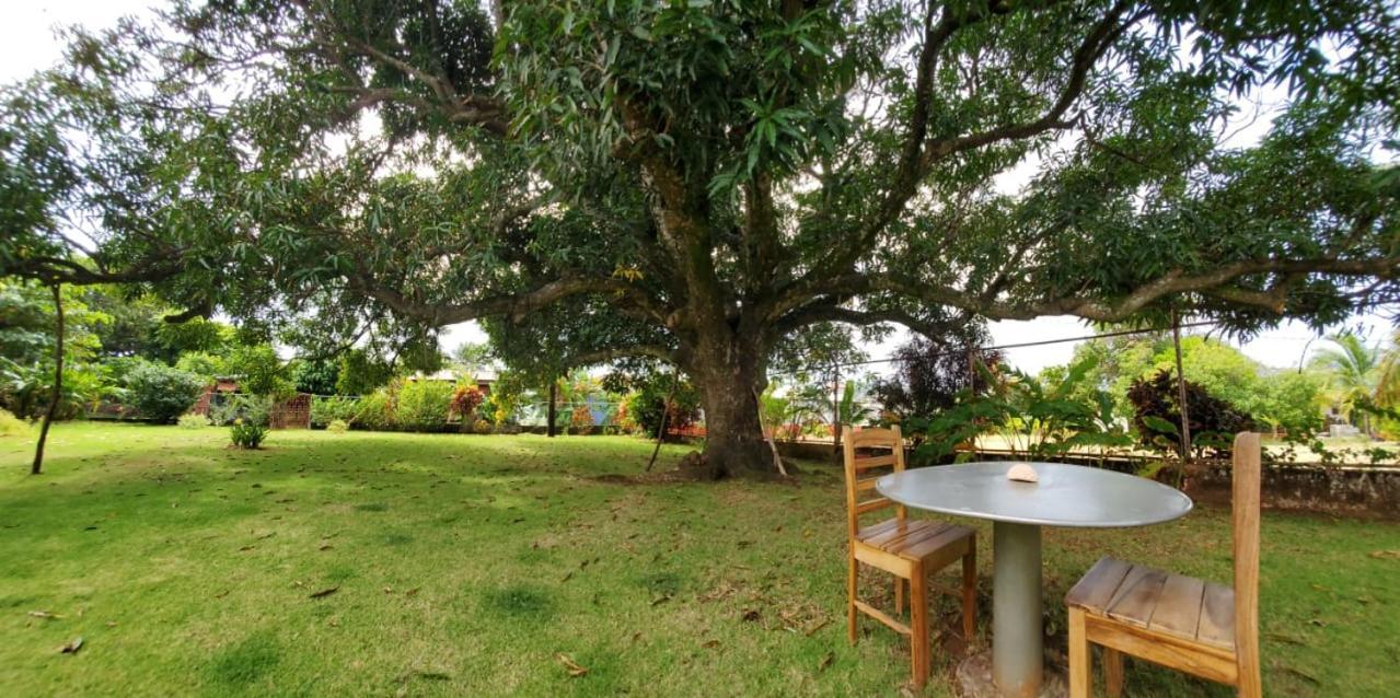 The Little Dream House Corn Island Exterior foto